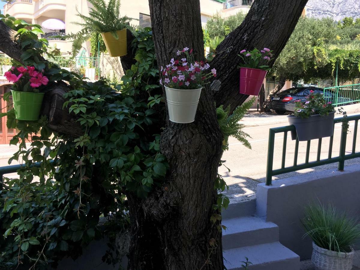 Apartmani Marko Tucepi Bagian luar foto